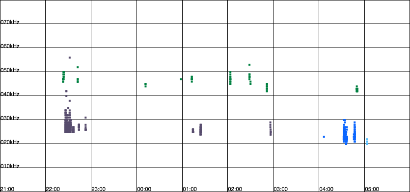 Frequenzplot Nyctaloider Arten im Nachtverlauf