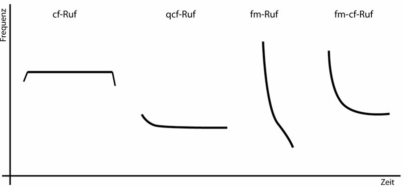 Unterscheidung der typischen Rufformen