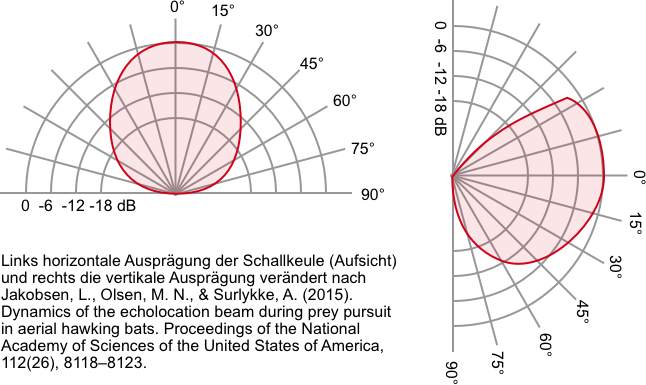 Schallkeule von Suchrufen angelehnt an Jakobsen et al (2015)